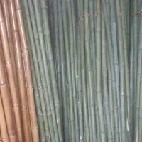 نی بسته ای|سازهای بادی|گرگان, |دیوار