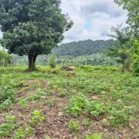 مشاور فروش ملک از 200 متر تا هکتار