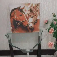 تابلوی اسب جفت در فنگشویی،برای جذب رابطه عشقی