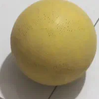 توپ درحد نو