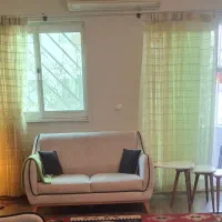 پرده تور لیمویی