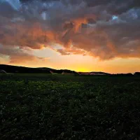 اجاره ۲۵ هکتار زمین کشاورزی با چاه آب اختصاصی