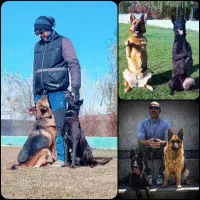 آموزش و اصلاح رفتار تخصصی سگ