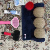اسباب بازی گربه نو