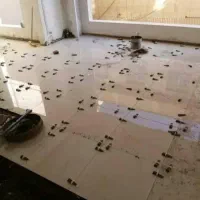 کاشی کاری کاشیکار نصاب سرامیک سنگ کاری گچ کاری|خدمات پیشه و مهارت|تهران, سعادتآباد|دیوار