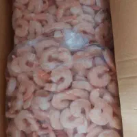 میگو پاک و رگ گیری شده بوشهر(جهت همکاری رستوران )|خوردنی و آشامیدنی|تهران, شادآباد|دیوار
