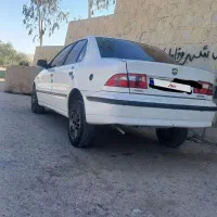 سمند‌ معمولی