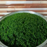 سبزی قرمه .مرغ ترش پیاز چیپسی ترش واش گیلانی|خوردنی و آشامیدنی|تهران, ابوذر|دیوار