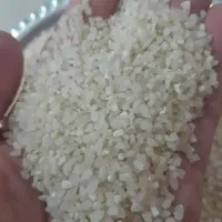 برنج نیم دانه کامفیروزی اصل شارژ شده تعداد محدود