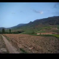 زمین-کشاورزی-رهن-یا-اجاره