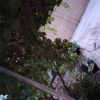 سوئیت ویلا مبله/2 اتاق اجاره روزانه/مختص مسافران|اجارهٔ کوتاه‌مدت آپارتمان و سوئیت|ملایر, |دیوار