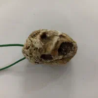 فسیل قدیمی|کلکسیون اشیاء عتیقه|سراب, |دیوار