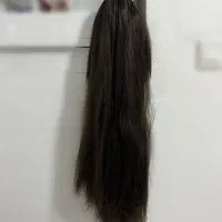 کلاه گیس*فوری