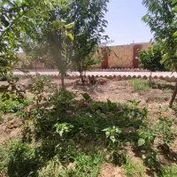 باغ ویلا ۱۳۰۰ متری اب برق گاز کنتور قانونی ماریان|فروش خانه و ویلا|مشهد, درزآب|دیوار