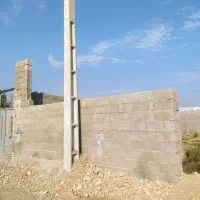 زمین باغی