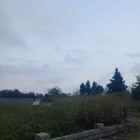 زمین ۶۰۰ متری بر اصلی همت آباد