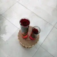 باکس و گل شاخه ایی حراج