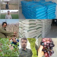 ((فروش کود)) فیلم آگهی رو کامل ببینید