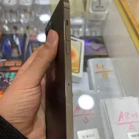 ایفون ۱۲ پرومکس|موبایل|ساری, |دیوار