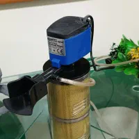 آکواریوم ، ماهی|ماهی|همدان, |دیوار