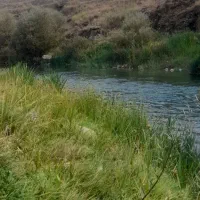 کار در ترکیه