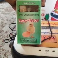 دستگاه جوجه کشی Easy Bator 6|ماشین‌آلات صنعتی|شیراز, قلعه نو|دیوار