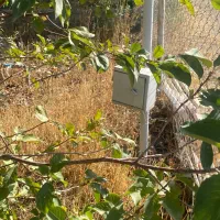 باغ شهر|فروش دفتر صنعتی، کشاورزی، تجاری|زنجان, |دیوار