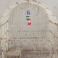 قفس  قیمت توافقی