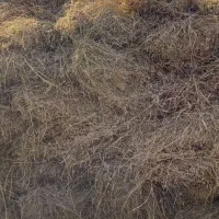 یونجه خالص