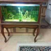 اکواریوم|ماهی|کاشان, درب باغ|دیوار