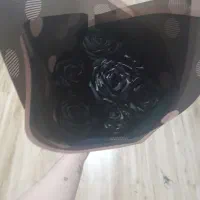 گل ربانی|گل مصنوعی|لنگرود, |دیوار