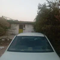 فروش فوری پراید کاربرات مدل ۸۱|خودرو سواری و وانت|بوشهر, |دیوار