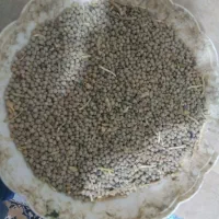 گاودانه بو جاری شده|عمده‌فروشی|شراء, |دیوار
