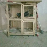 کجه دوطبقه بزرگ سالم و بدوم شکستگی|لوازم جانبی حیوانات|قم, پامنار|دیوار