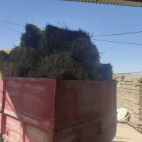 بسته یونجه چین اول
