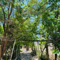 خانه ویلایی قجر تخت رستم ( مالک )