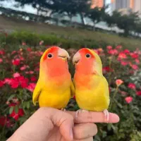 خواهش میکنم بخونید