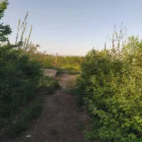 فروش زمین ۲۲۰۰ متری معاوضه شمال ماشین تهران شهریار|فروش زمین و ملک کلنگی|رباط‌کریم, منجیل آباد|دیوار