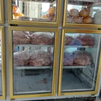 گردن و اسکلت