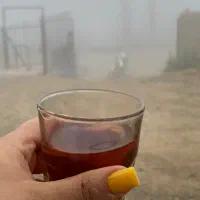 سرویس مدارس دانشگاه