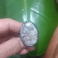 رکاب نگین شجر
