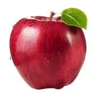 به چند نفر خانم ماهر برای سورت سیب در سردخانه