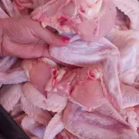 کتف بال تازه|خوردنی و آشامیدنی|رامهرمز, |دیوار