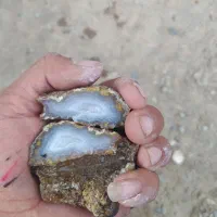 عقیق سلیمانی
