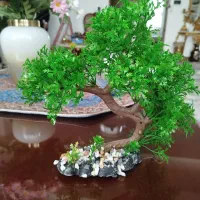 درختچه آکواریوم