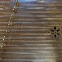 سنتور استاد محسن راسخ