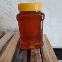 عسل خالص سبلان|خوردنی و آشامیدنی|مشگین شهر, |دیوار