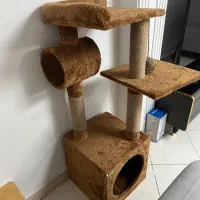 اسکراچر گربه نو