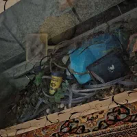 اکواریوم