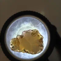 سکه شاهی و شهاب سنگ|کلکسیون و سرگرمی|رشتخوار, |دیوار